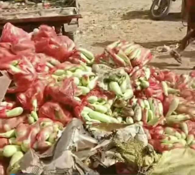 إب تتلف محاصيل كوسة مسقية بمياه الصرف الصحي.. ومخاوف صحية تجتاح المحافظة