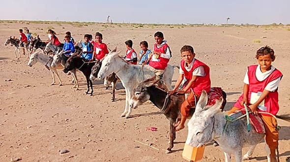 مدرسة بلحج تقيم سباقا للطلاب على ظهور الحمير «صور»