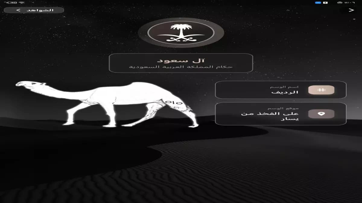 عاجل: دار آل سعود تتخذ قراراً تاريخياً سرياً... التفاصيل المثيرة خلف الأسوار!