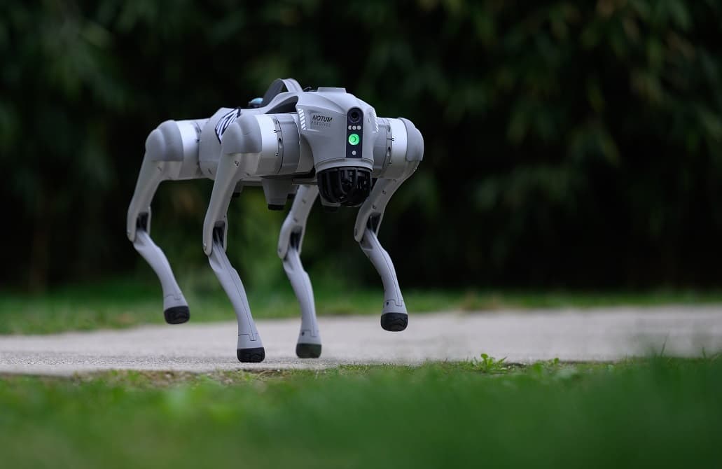 فوتشيتش يعد بإطلاق الإنتاج الضخم للكلاب الآلية في صربيا