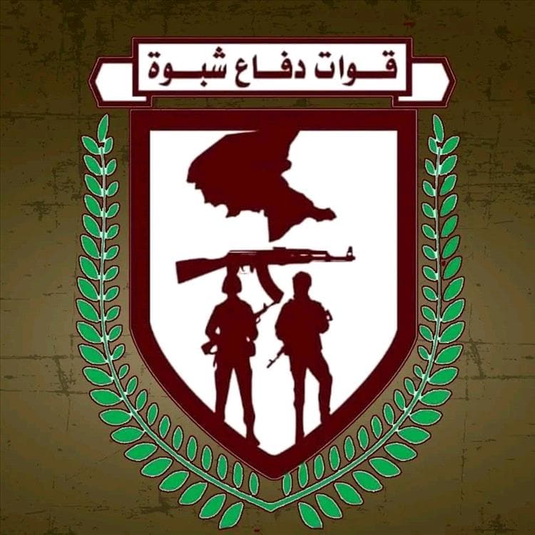 قوات دفاع شبوة تتصدى لطائرة حوثية مسيّرة وتُسقطها