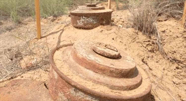 "مسام" ينزع 1263 لغماً وذخيرة خلال أسبوع