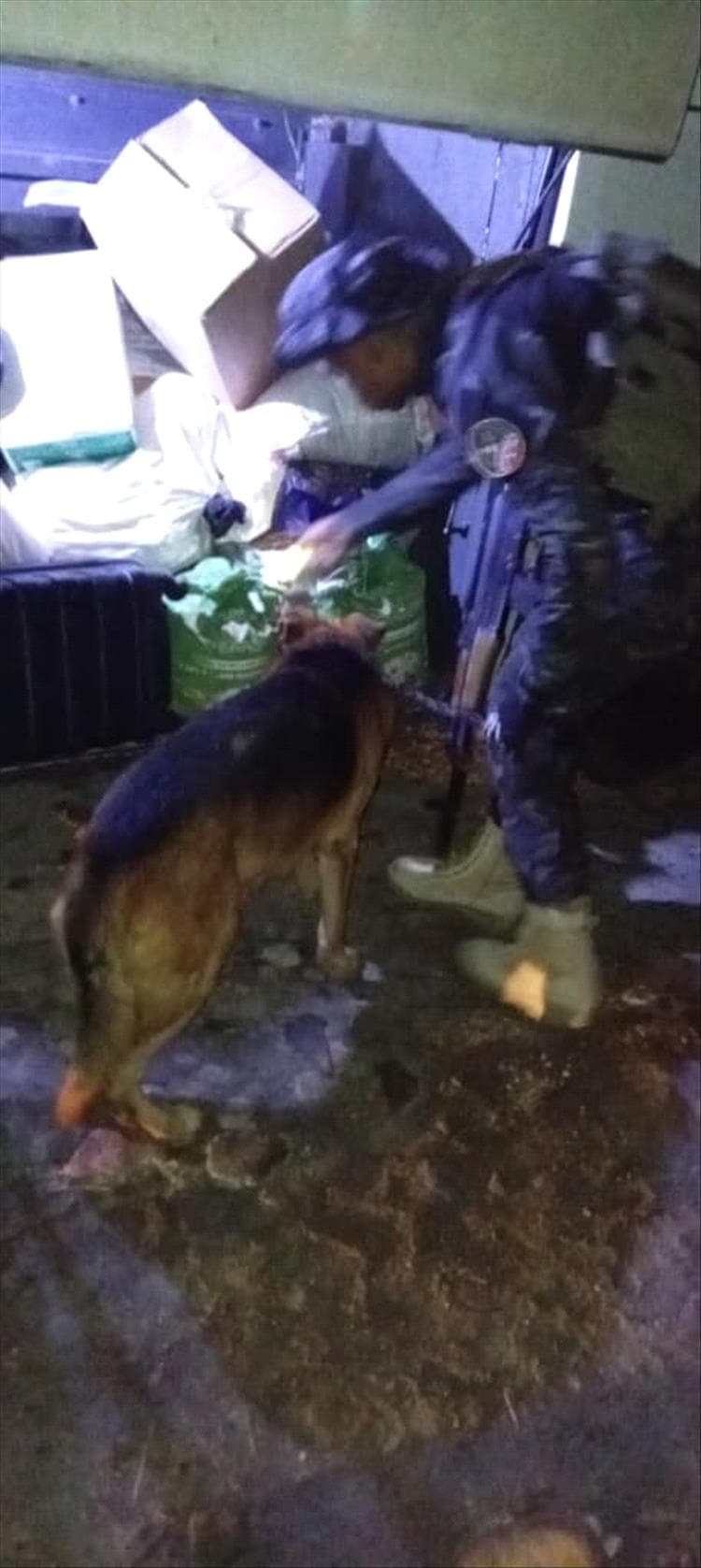 أبين.. إدارة مكافحة المخدرات تنفذ حملة تفتيش ميدانية وتفعّل وحدة الكلاب البوليسية في مداخل المحافظة