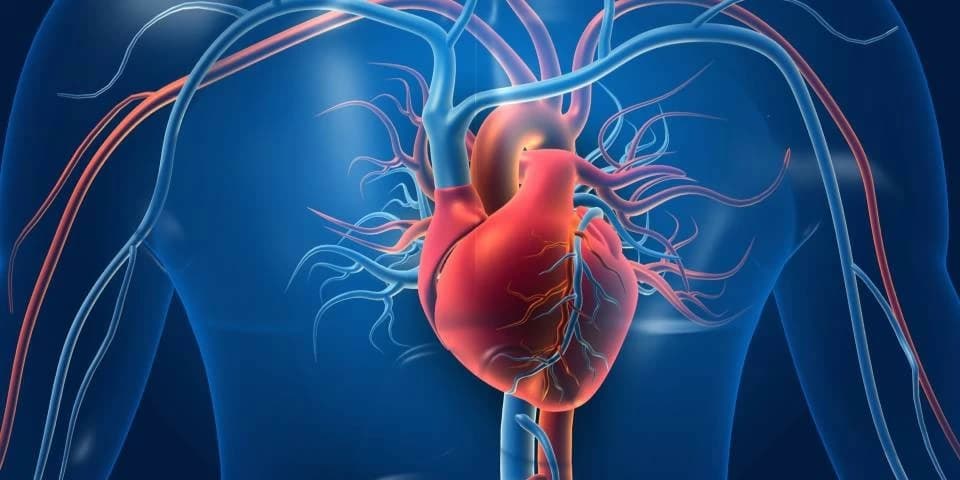 النوم أم الرياضة؟ خبير قلب يحسم الجدل حول أفضل عادة صحية