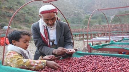 اليمن: مشروع "نواة" بن يمني ولد وسط الحرب ليلهم الشباب
