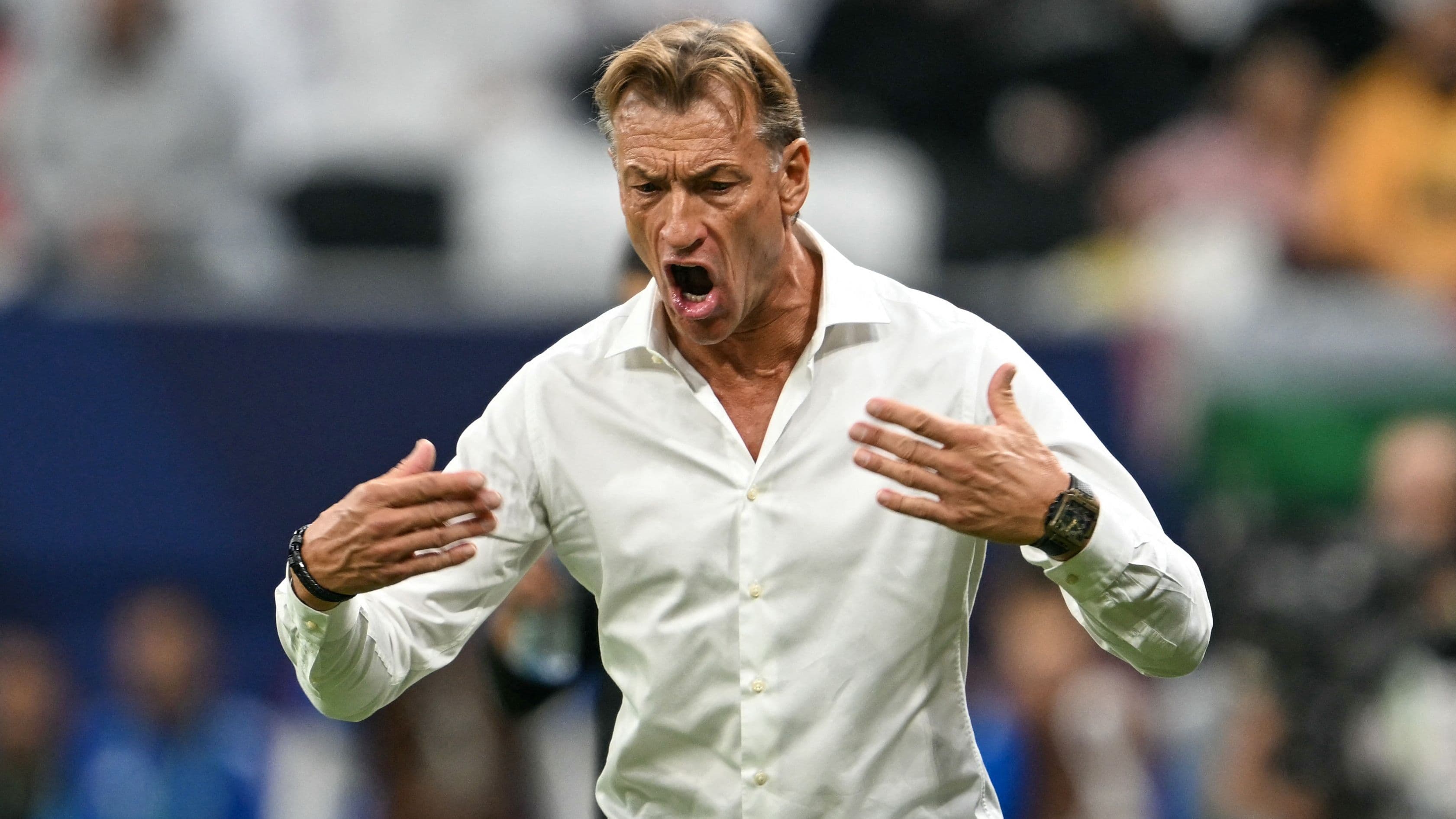 رينارد يعلن إعفاءه من وظيفة المدرب لمنتخب السعودية قبل كأس العالم