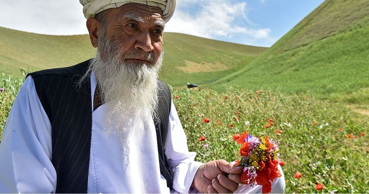 أفغانستان: بين السلام والهوية الوطنية