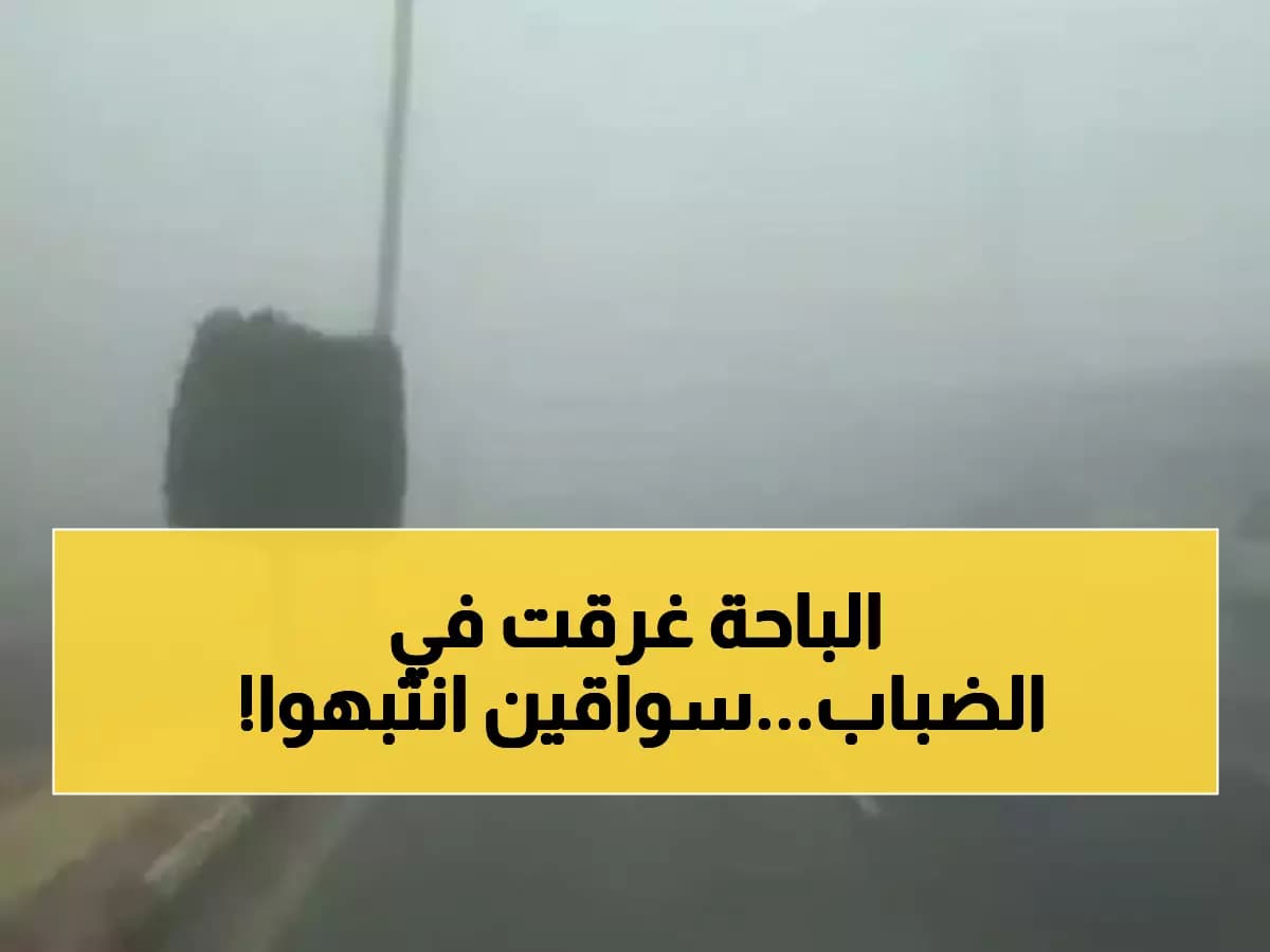 عاجل: الأرصاد تحذر من ضباب خطير يحجب الرؤية بالباحة... السفر ممنوع حتى الأربعاء!